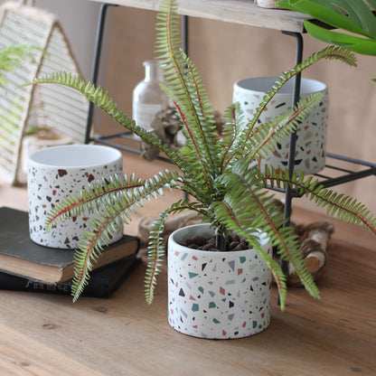 Ceramic Flower Pots